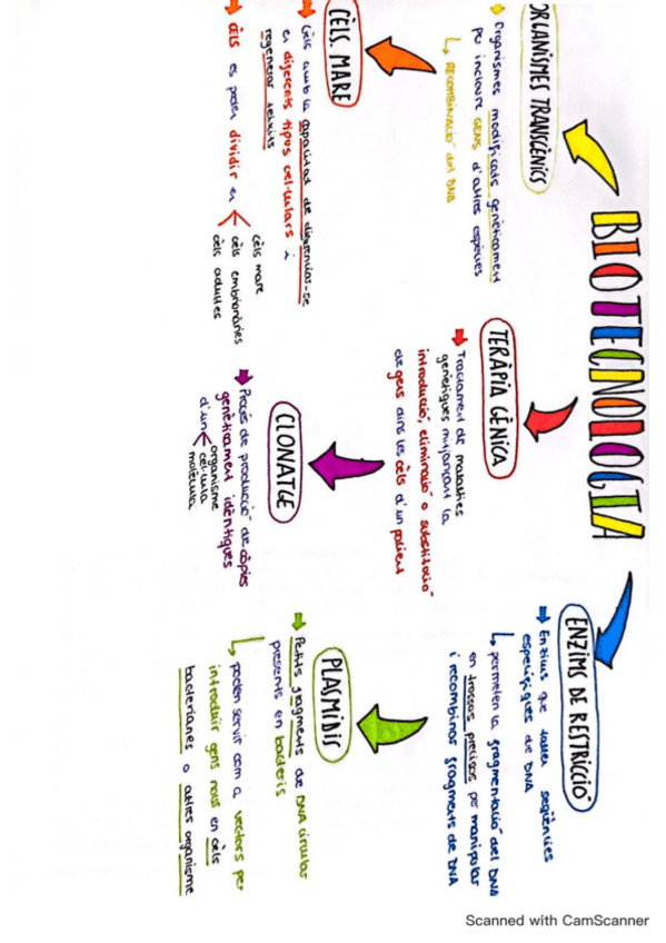 Miniatura del documento PAU-BIOLOGIA-biotecnologia.pdf