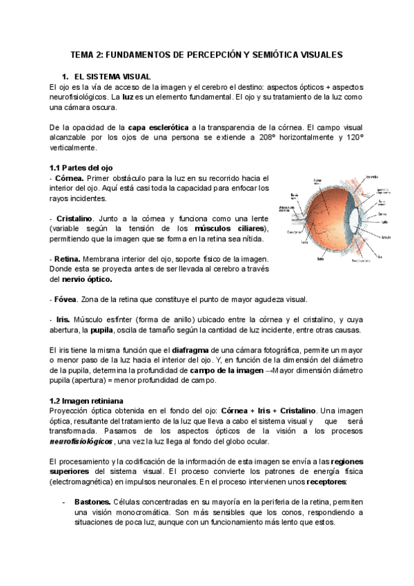 Miniatura del documento TEMA-2-FUNDAMENTOS-DE-PERCEPCION-Y-SEMIOTICA-VISUALES.pdf
