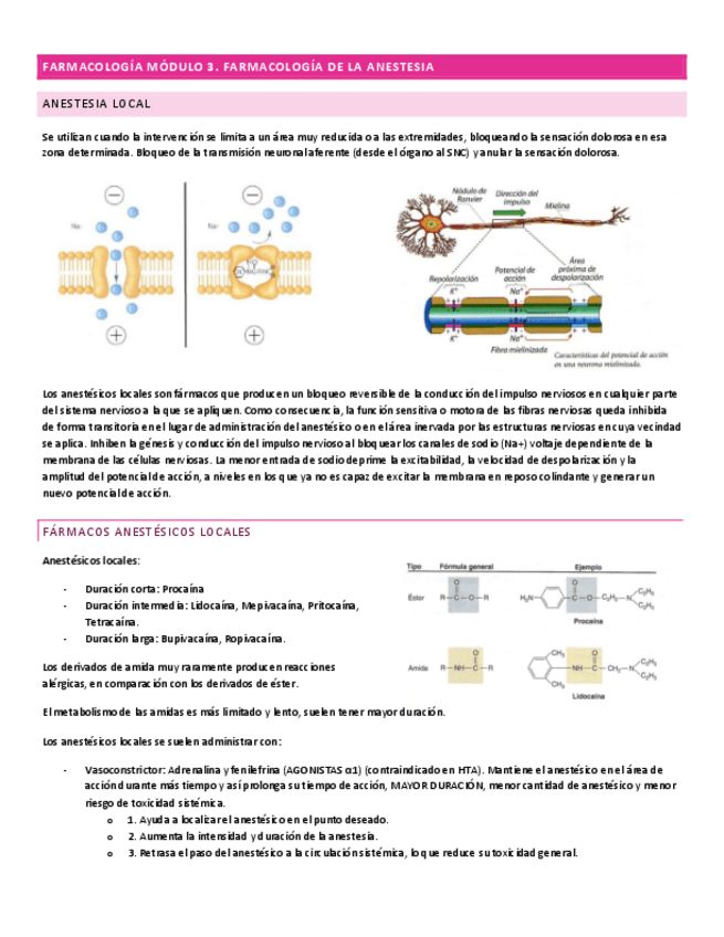 Miniatura del documento farmacologia-modulo-3.pdf