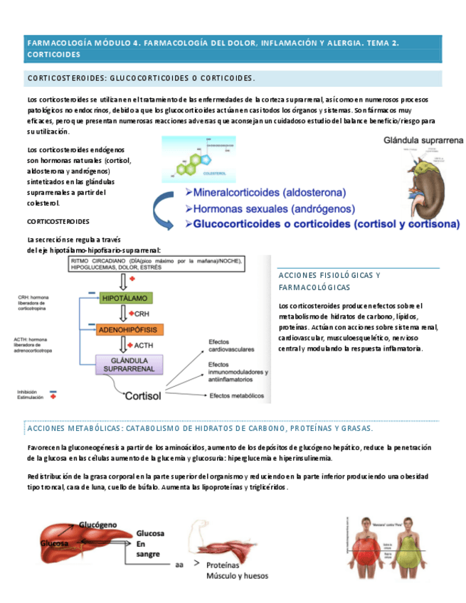 Miniatura del documento farmacologia-modulo-4.-tema-2-y-3.pdf