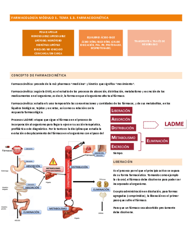 Miniatura del documento FARMACOLOGIA-TEMA-1.3.pdf