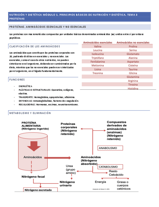 Miniatura del documento nutri-modulo-3.pdf
