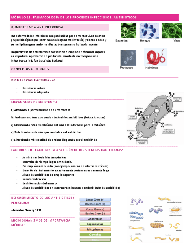 Miniatura del documento MODULO-11-TEMA-1.pdf