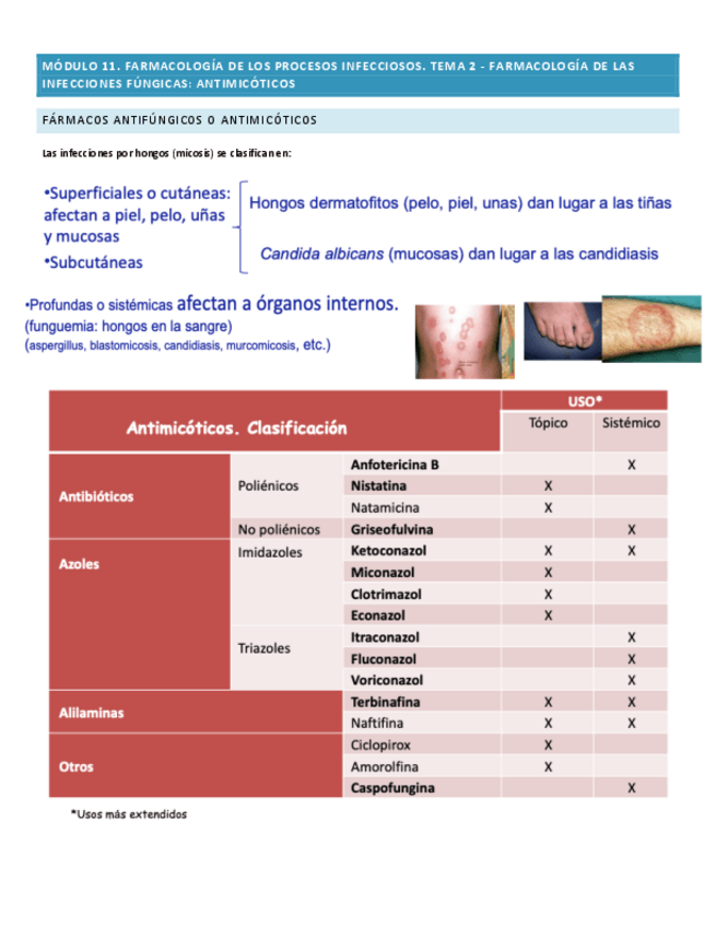 Miniatura del documento MODULO-11-tema-2.pdf
