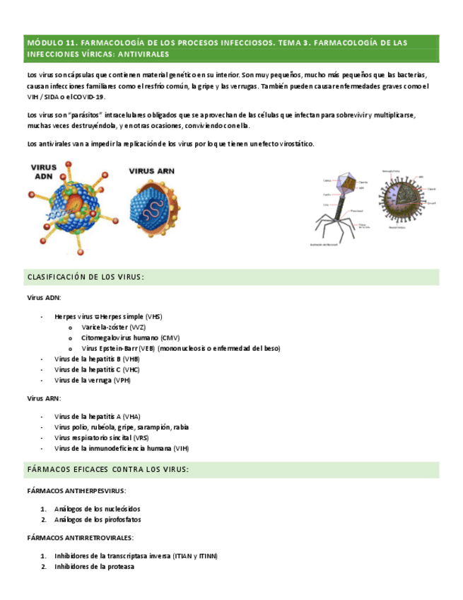 Miniatura del documento MODULO-11-TEMA-3.pdf