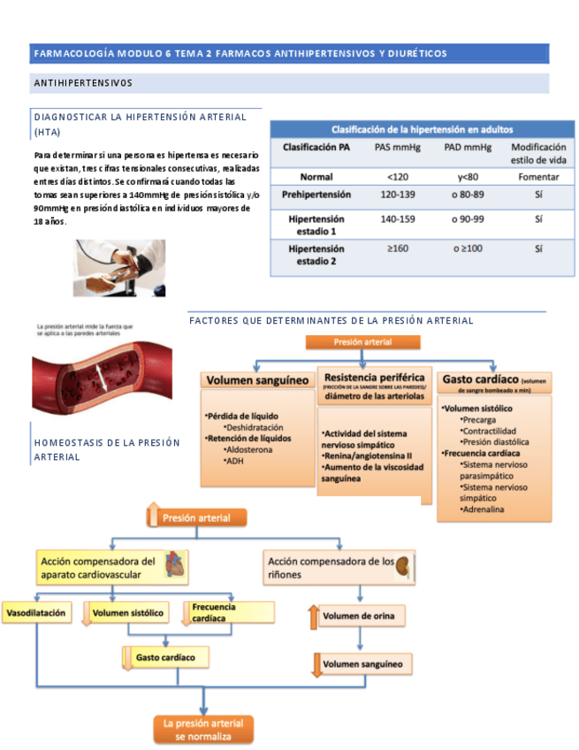 Miniatura del documento FARMA-MODULO-6-TEMA-2.pdf