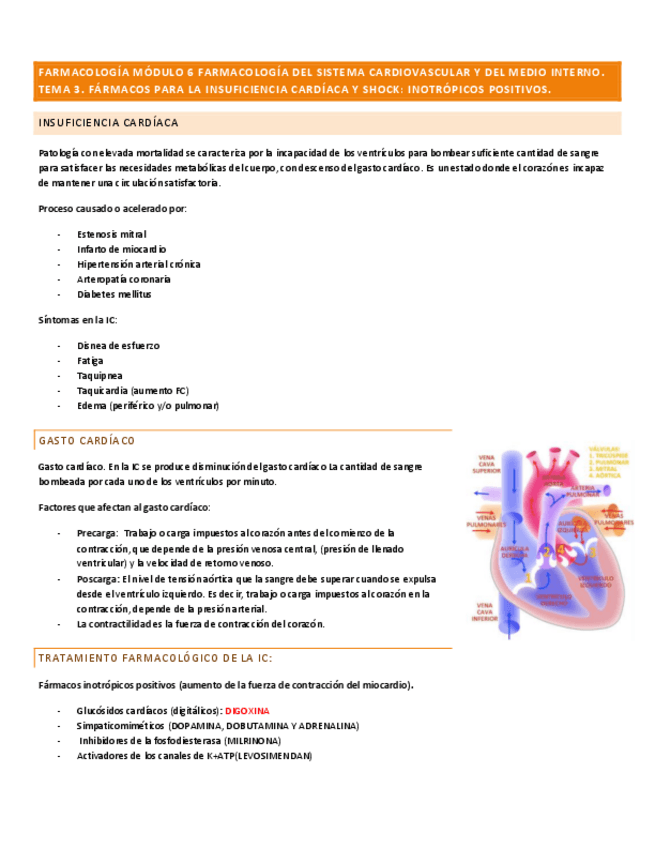 Miniatura del documento FARMA-MODULO-6-TEMA-3.pdf