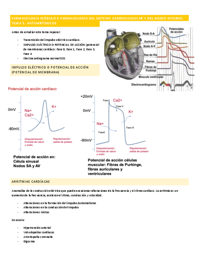 Miniatura del documento FARMA-MODULO-6-TEMA-5.pdf