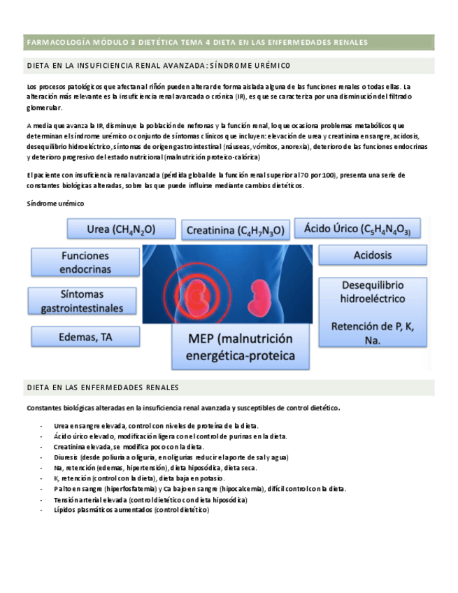 Miniatura del documento modulo-3-tema-4.pdf