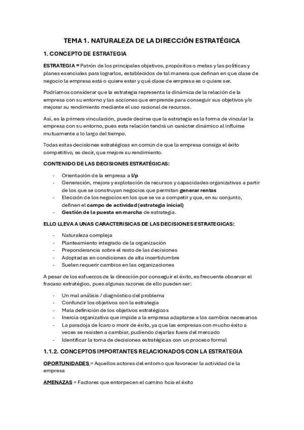 Miniatura del documento RESUMEN-DIRECCION-ESTRATEGICA.pdf