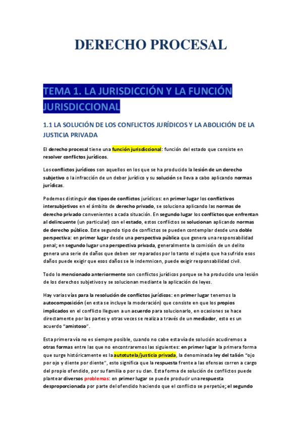 Miniatura del documento APUNTES-DERECHO-PROCESAL.pdf