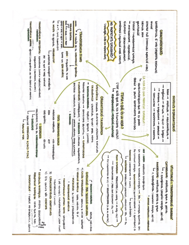 Miniatura del documento esquemes-tots-els-temes.pdf