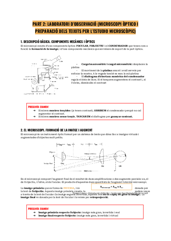 Miniatura del documento Bio-II-micrscopia.pdf