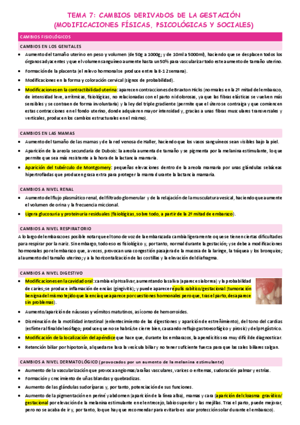 Miniatura del documento TEMA-7-CAMBIOS-DERIVADOS-DE-LA-GESTACION.pdf