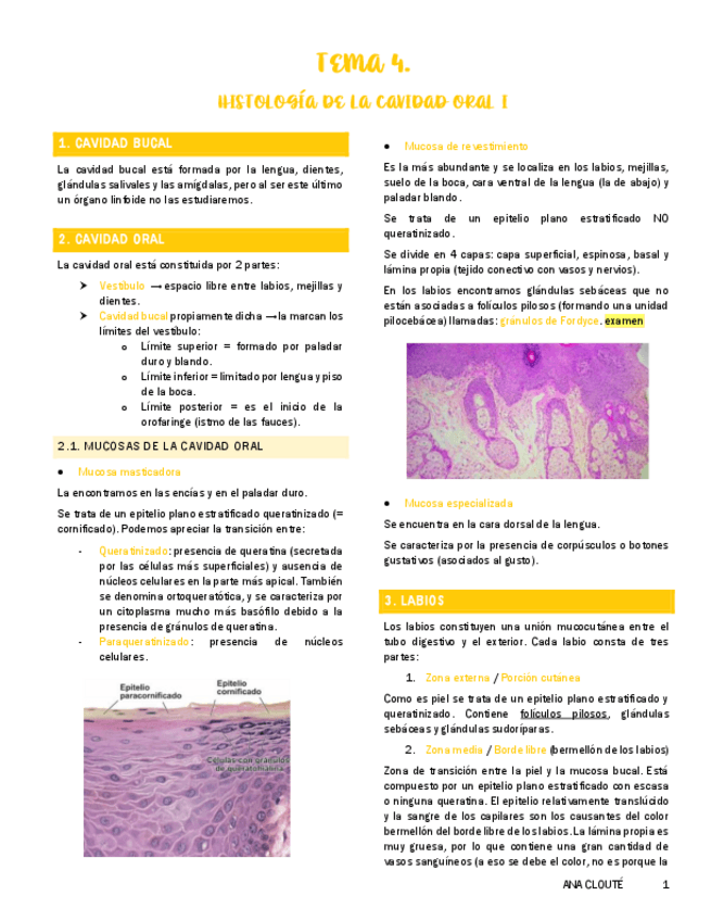 Miniatura del documento Tema-4.pdf