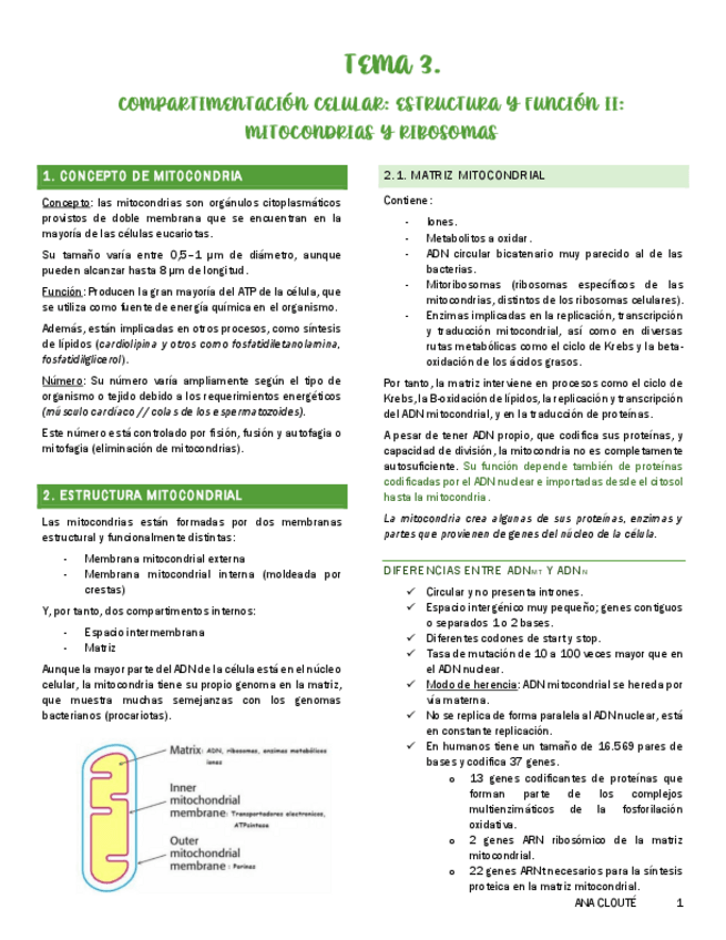 Miniatura del documento Tema-3.pdf