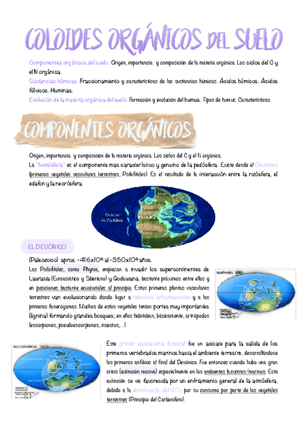 Miniatura del documento 04.-Coloides-organicos-del-suelo.pdf