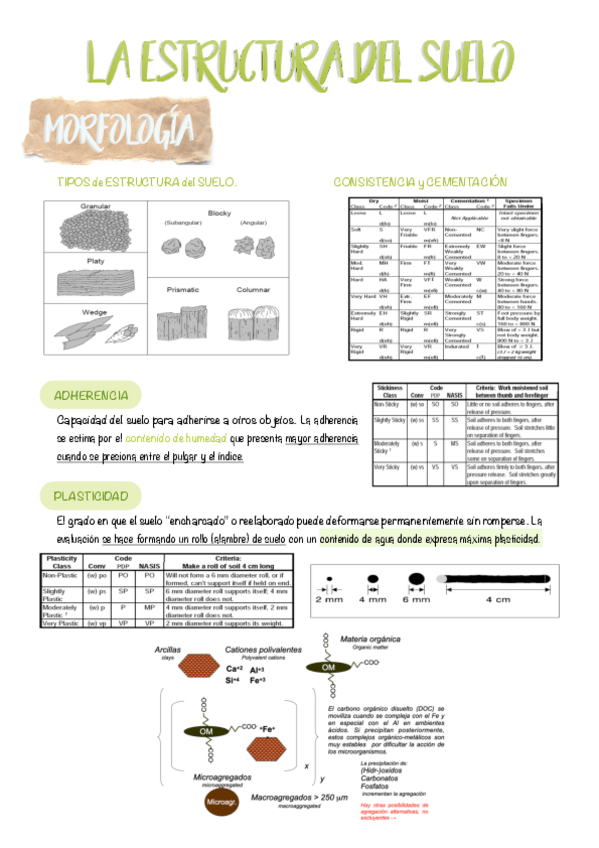 Miniatura del documento 05.-La-estructura-del-suelo.pdf