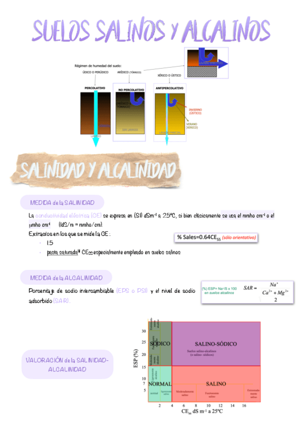 Miniatura del documento 10.-Suelos-alcalinos-y-salinos.pdf