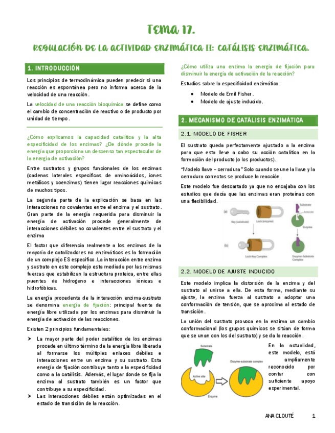 Miniatura del documento Tema-17.pdf