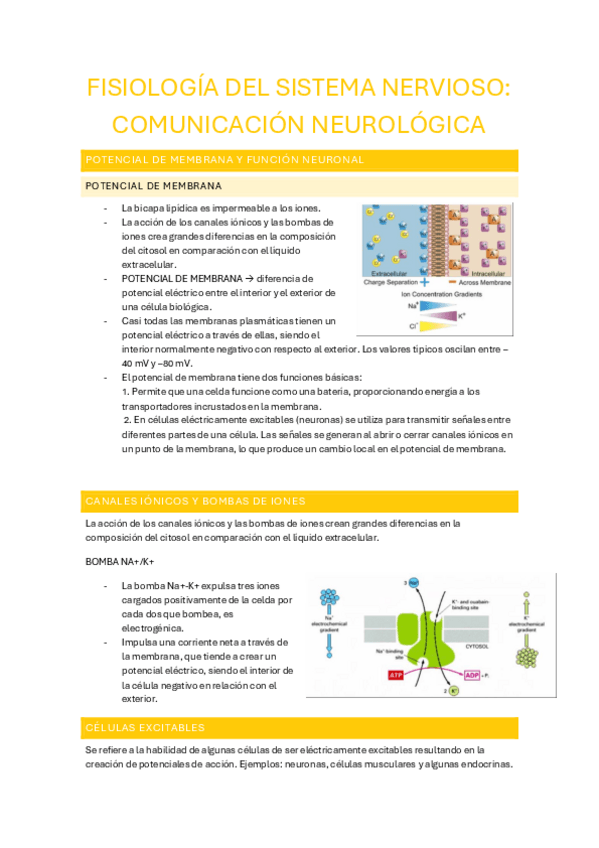 Miniatura del documento 6.1-COMUNICACION-NEUROLOGICA.pdf