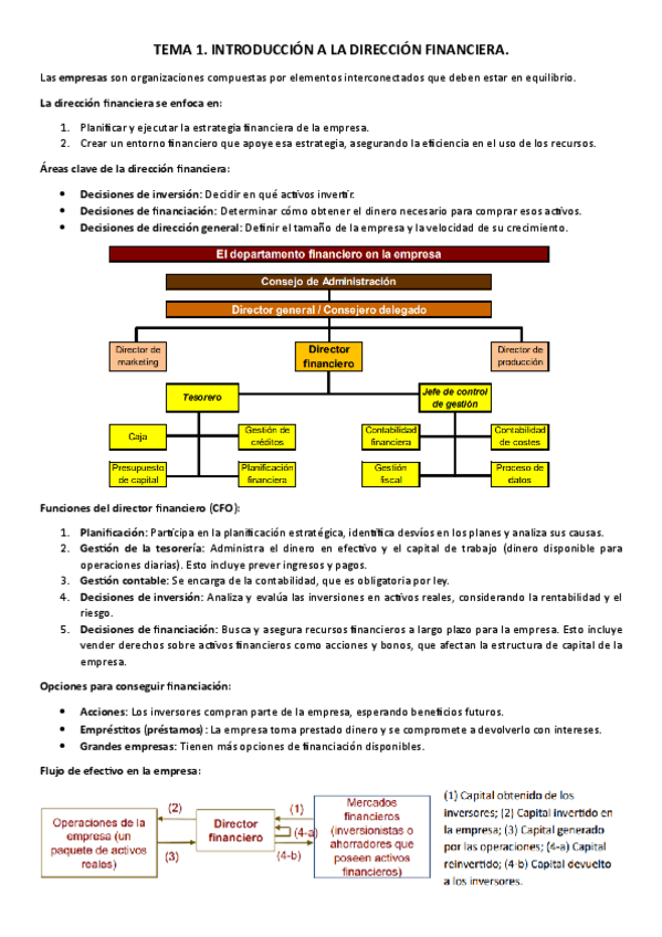 Miniatura del documento RESUMENES-SIMPLIFICADOS-DIRECCION-FINANCIERA.pdf