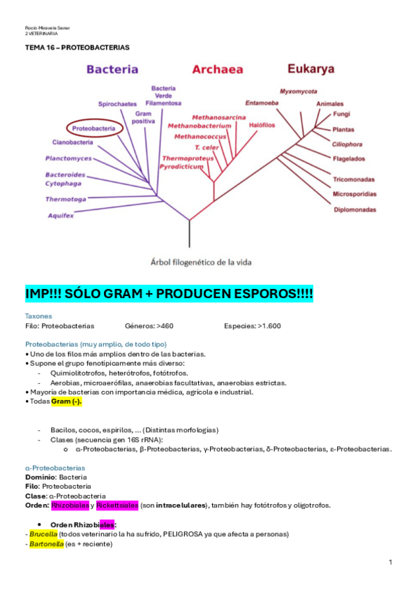 Miniatura del documento BACTERIOLOGIA-ESPECIALIZADA.pdf