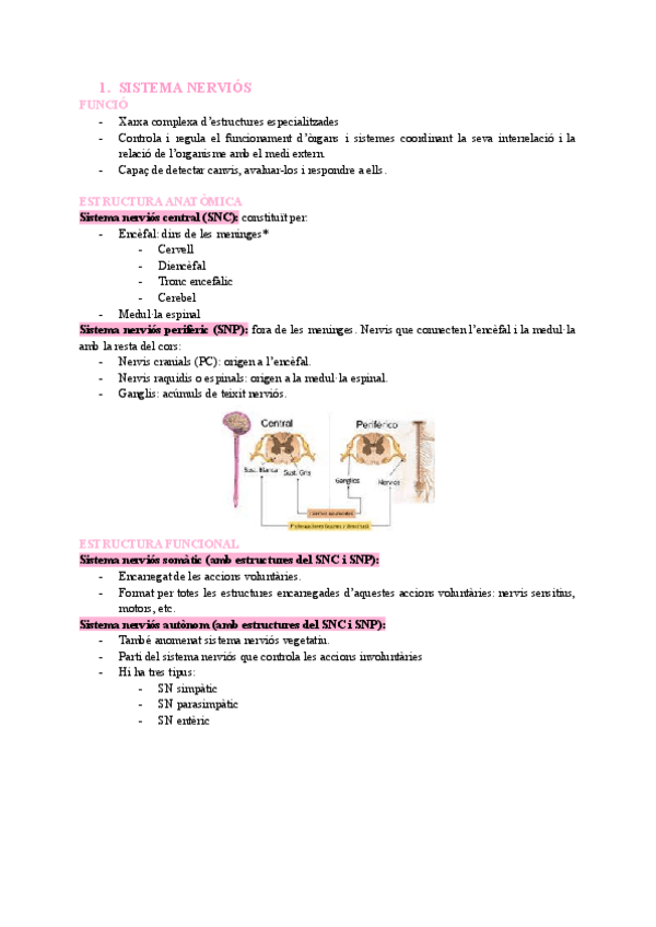 Miniatura del documento T2-SISTEMA-NERVIOS.pdf