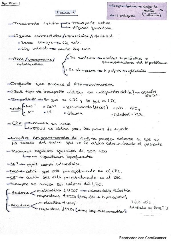 Miniatura del documento Apuntes-fisio-Rafa-T1-T3.pdf