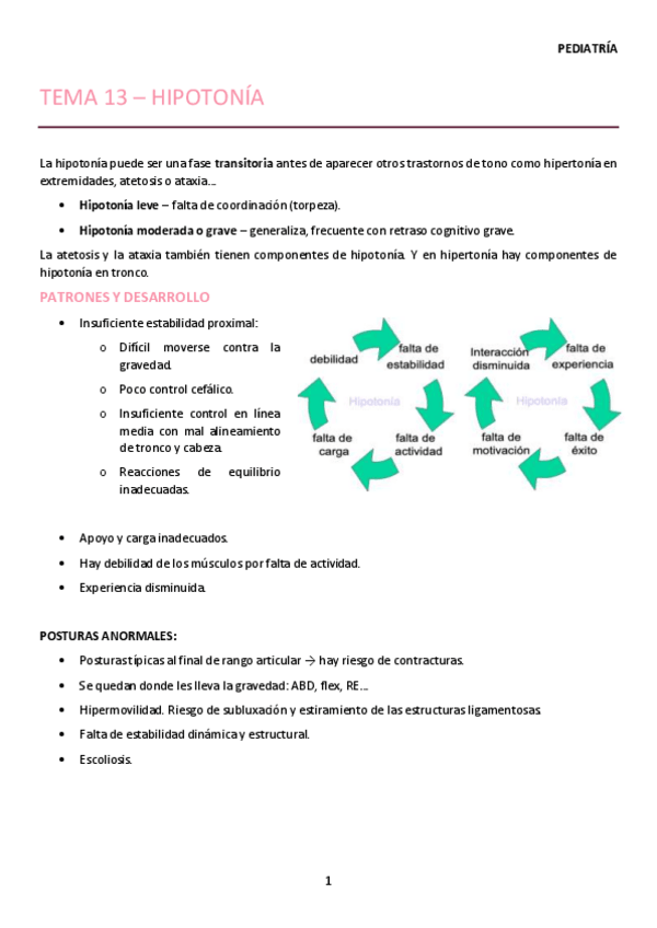 Miniatura del documento APUNTES-TEMA-13.pdf