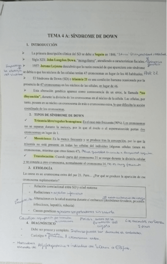 Miniatura del documento Tema-4a-sindrome-de-down.pdf