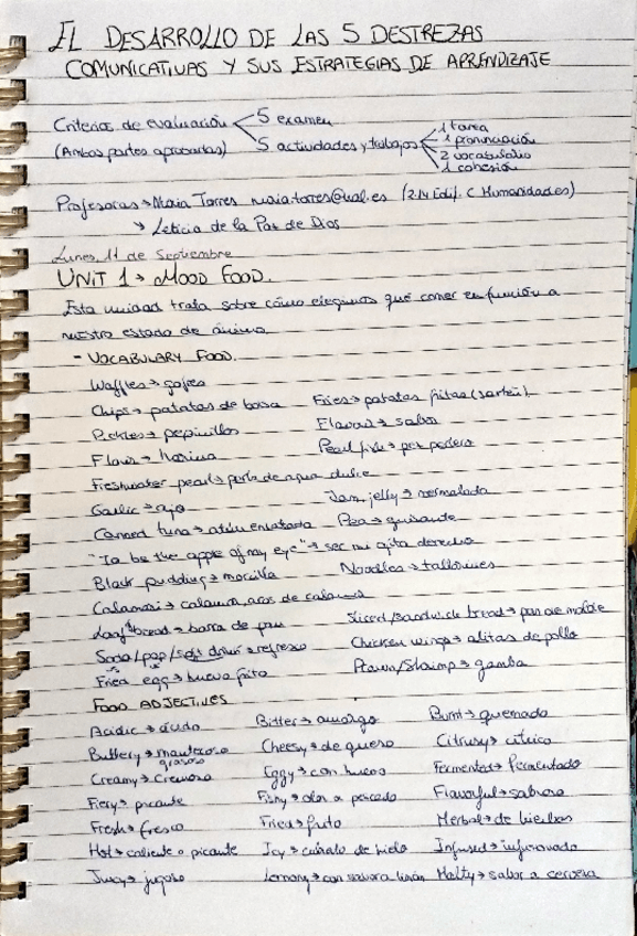 Miniatura del documento Apuntes-5-destrezas.pdf