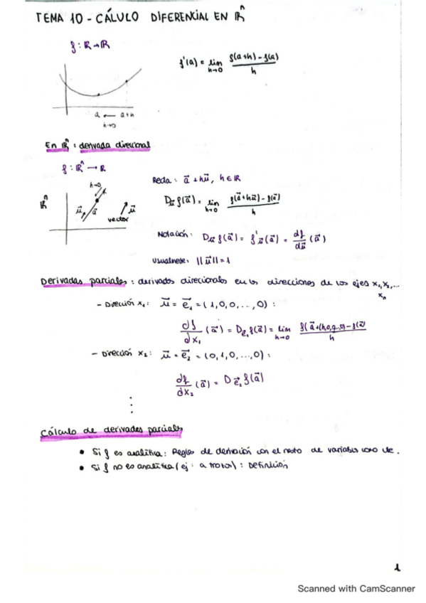Miniatura del documento tema10-Calculo-diferencial-en-Rn.pdf