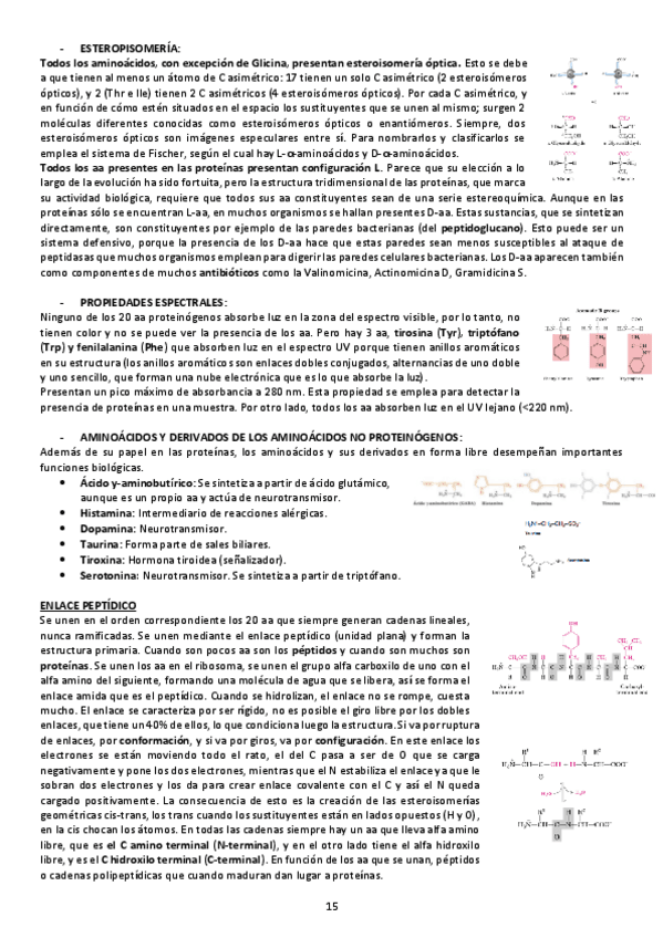 Miniatura del documento APUNTES-SEMINARIO-2.pdf