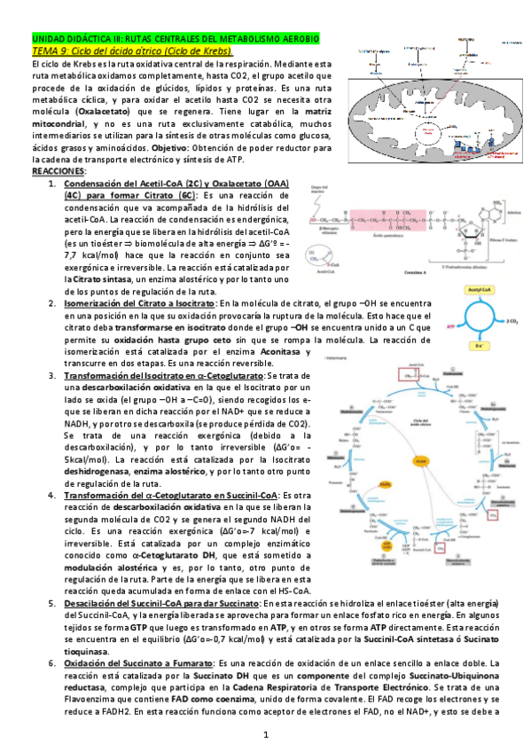 Miniatura del documento APUNTES-SEMINARIO-3.pdf
