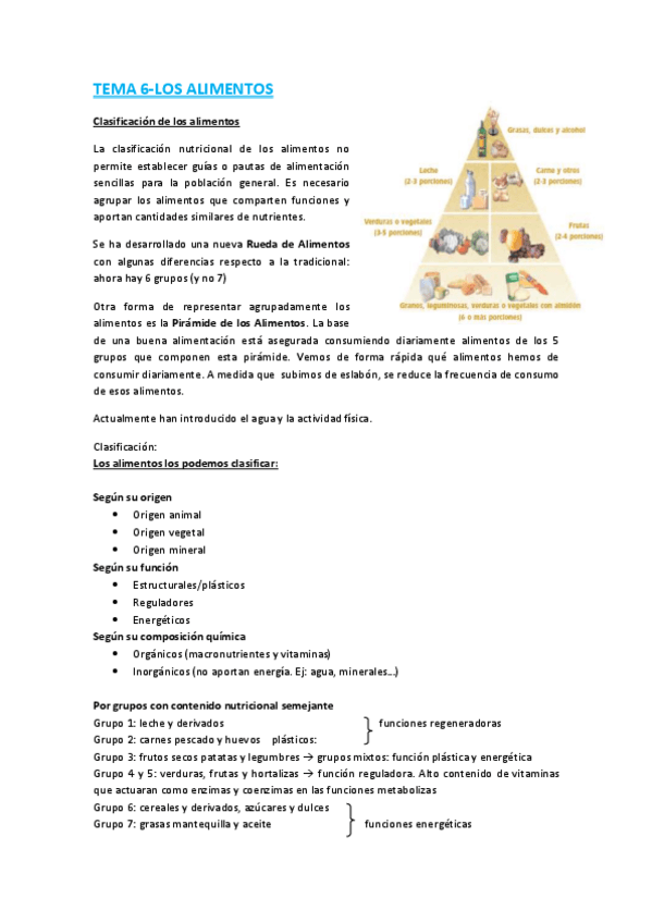 Miniatura del documento TEMA 5-Los alimentos.pdf