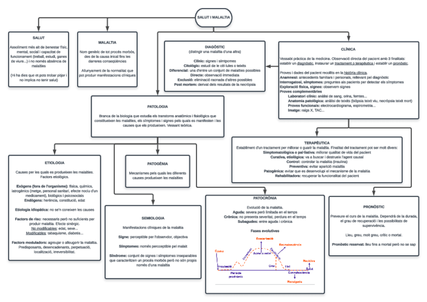 Miniatura del documento ESQUEMES.pdf