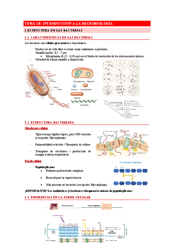 Miniatura del documento Tema 1-Introduccion a la microbiologia clinica.pdf
