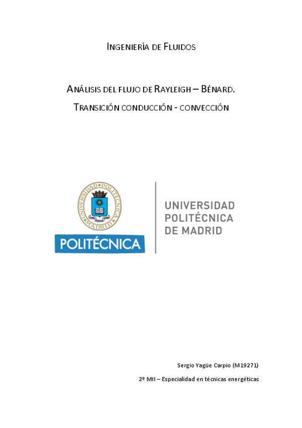 Miniatura del documento 6.1. Trabajo de Rayleigh-Benard.pdf