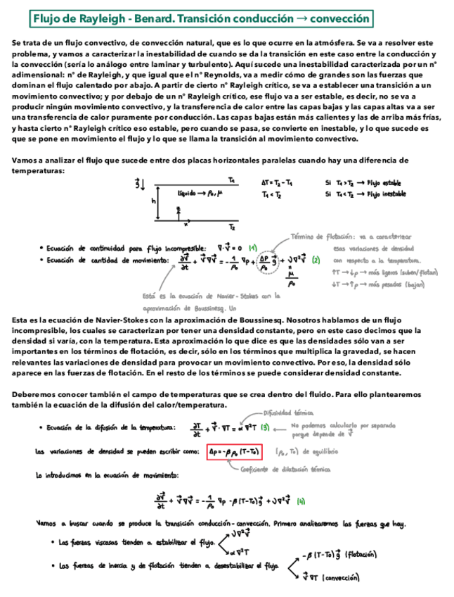 Miniatura del documento 6. Flujo de Rayleigh-Benard.pdf