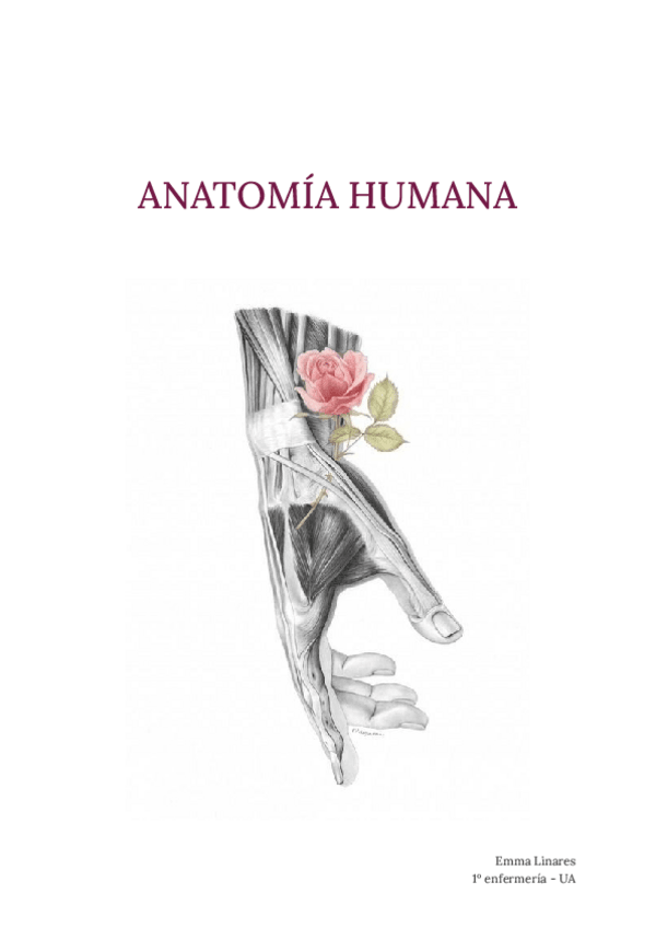 Miniatura del documento TEMA-1-Costitucion-y-divisiones-CH.pdf