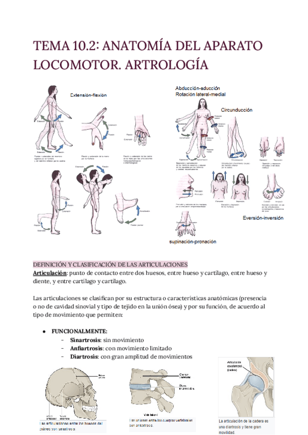 Miniatura del documento TEMA-10.2-Artrologia.pdf