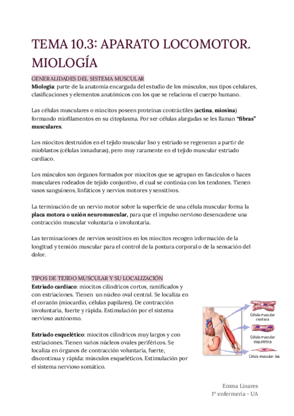 Miniatura del documento TEMA-10.3-Miologia.pdf