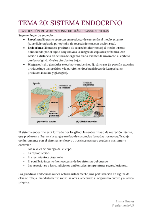 Miniatura del documento TEMA-20-Sistema-Endocrino.pdf