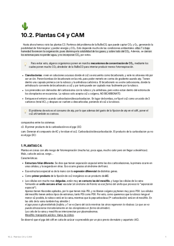 Miniatura del documento 10.2.-C4-y-CAM.pdf