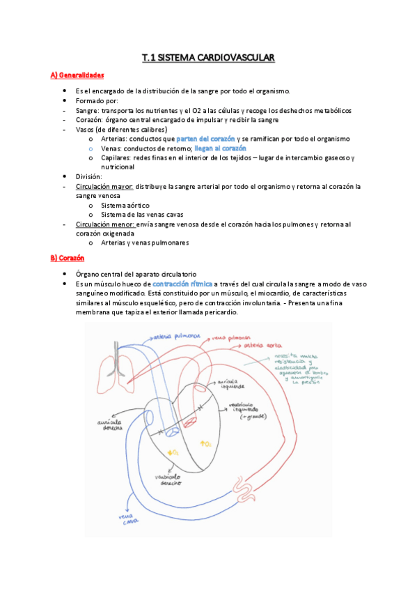 Miniatura del documento T.2-Sistema-cardiovascular.pdf