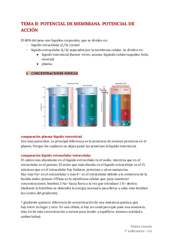 Miniatura del documento TEMA-2.pdf