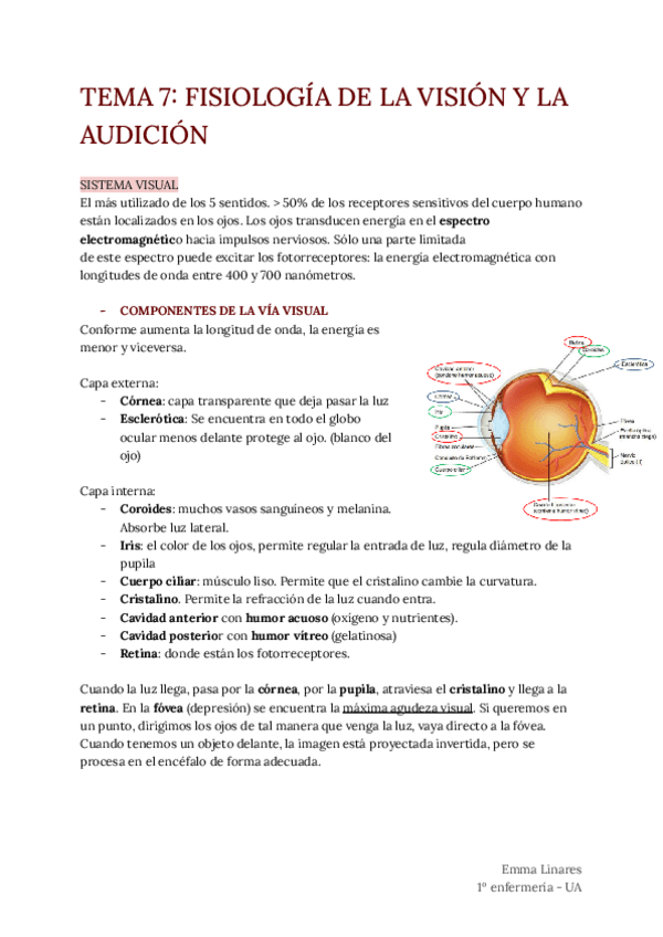 Miniatura del documento TEMA-7.pdf