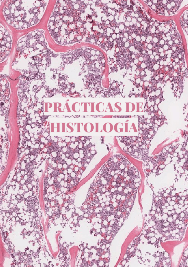 Miniatura del documento practicas-histo-2023.2024.pdf