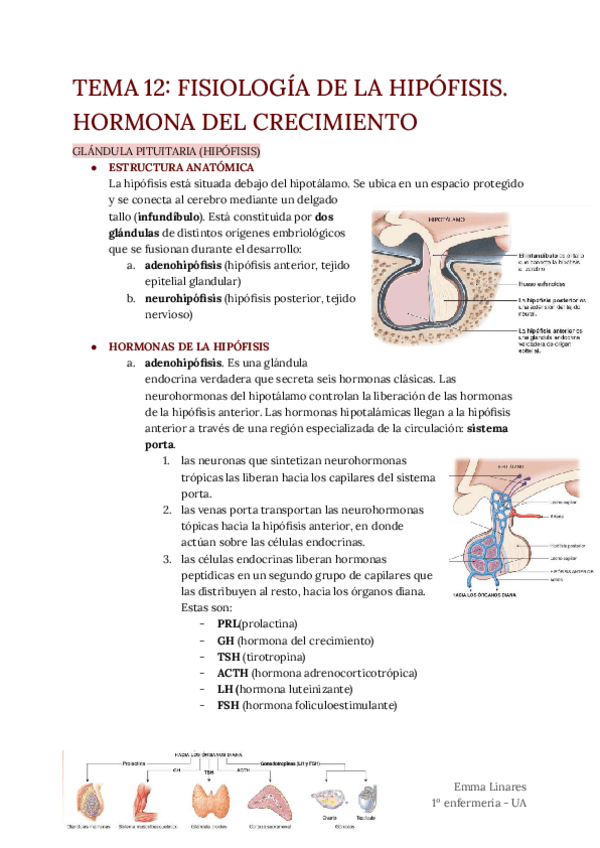 Miniatura del documento TEMA-12.pdf